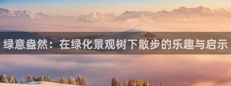 卧龙娱乐招商代理是谁