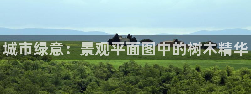 SKY娱乐卧龙主管60447