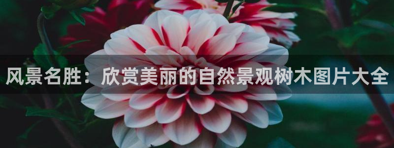 旗下卧龙娱乐