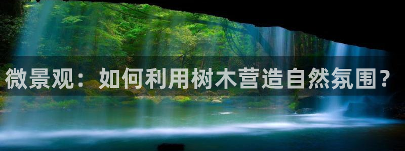 卧龙娱乐老板是谁呀视频