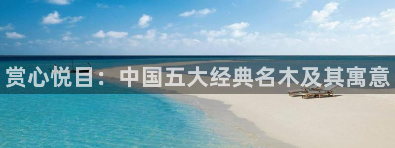 厦门卧龙台球娱乐会所