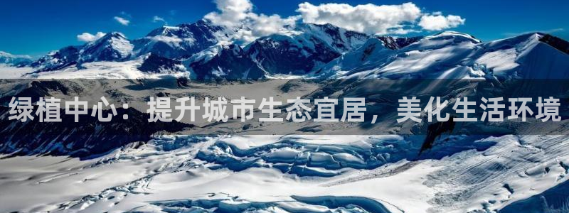 卧龙娱乐招商主管工资