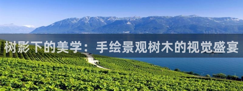 卧龙娱乐地7O667