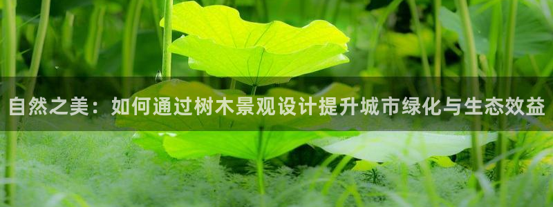 卧龙哥休闲娱乐