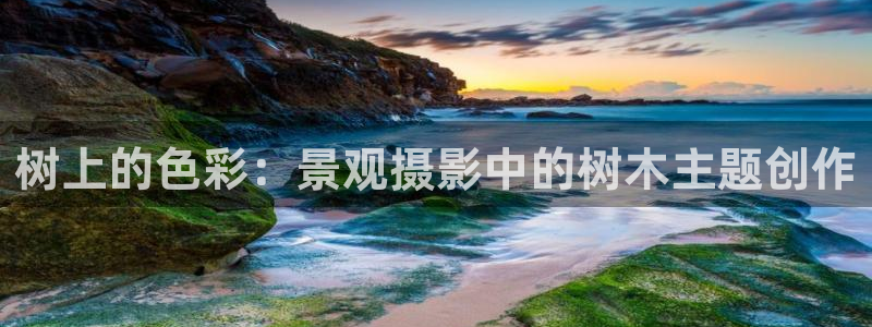 卧龙娱乐平台下载