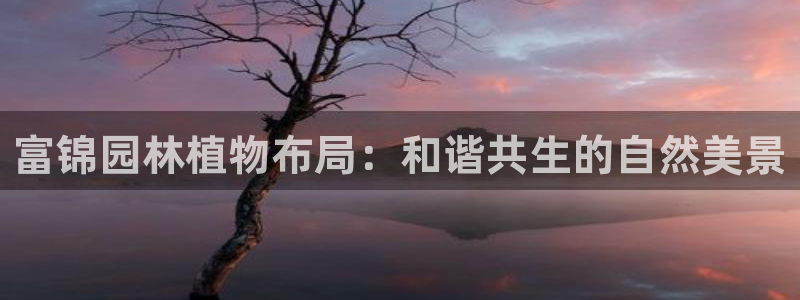 卧龙娱乐招商主管