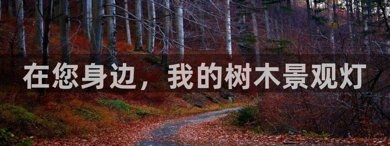 卧龙娱乐总管是谁呀：在您身边，我的树木景观灯