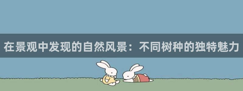 南阳卧龙岗景区娱乐项目