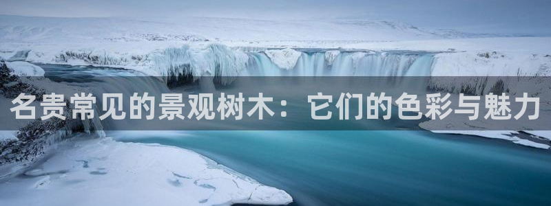 卧龙娱乐下7O667