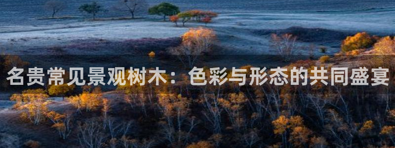 卧龙娱乐属于什么行业