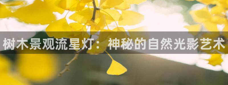 南阳卧龙水之梦娱乐会所