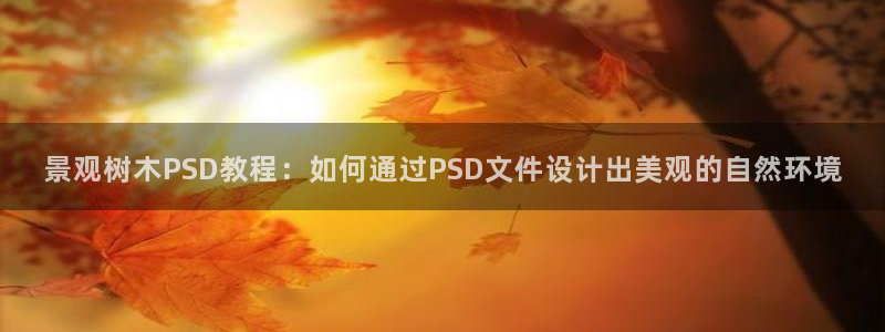 卧龙凤雏娱乐运城：景观树木PSD教程：如何通过PSD文件设计出美观的自然环境