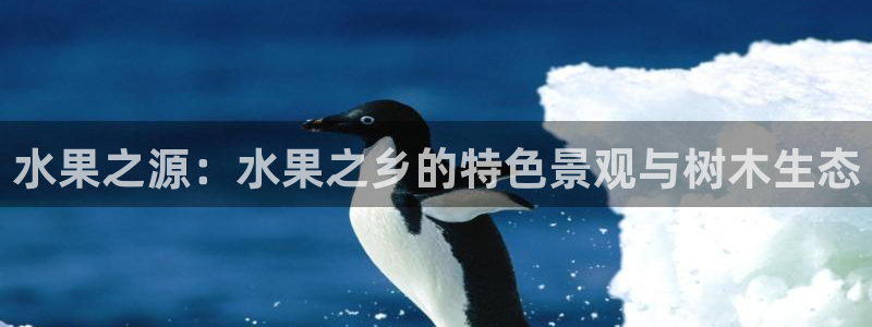 E彩娱乐 卧龙主管60447