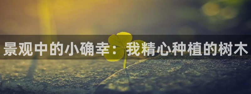 卧龙牧原娱乐设施