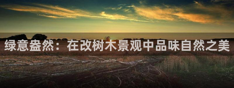 卧龙娱乐招商代理