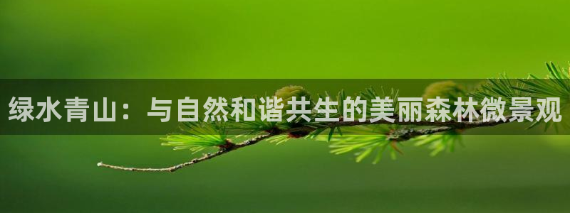 卧龙娱乐上7O667