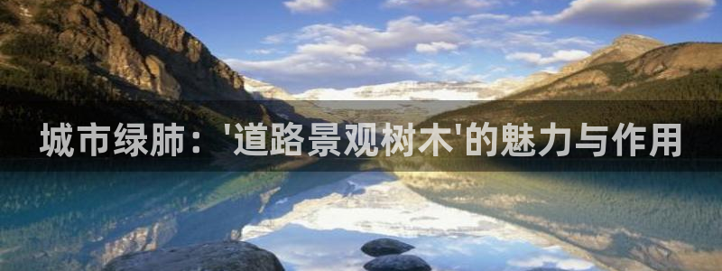 南阳卧龙娱乐会所