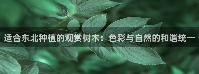 we娱乐 卧龙股东60447