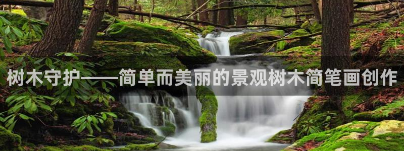 卧龙娱乐天:树木守护——简单而美丽的景观树木简笔画创作