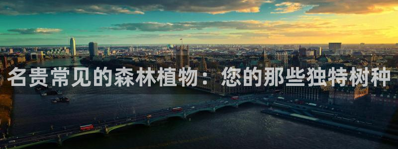 卧龙娱乐能出款吗