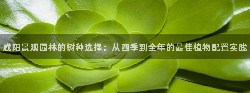 PT娱乐卧龙主管60447