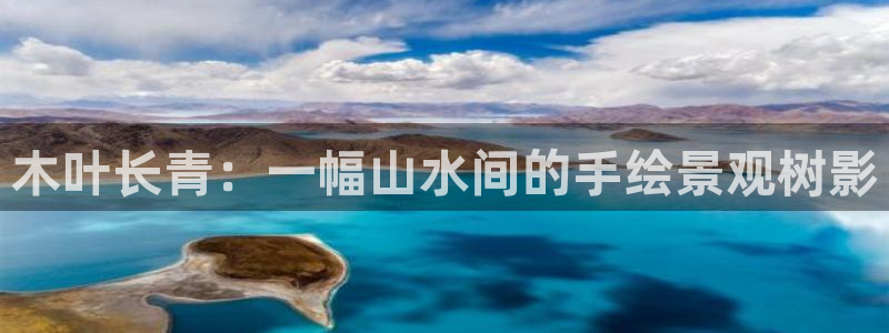 卧龙娱乐彩票官网直播