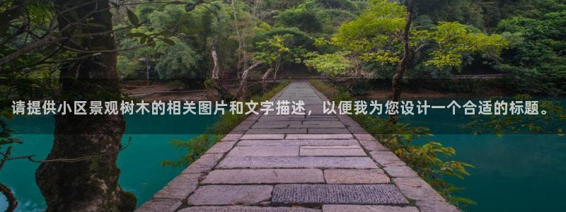 卧龙娱乐集团官网