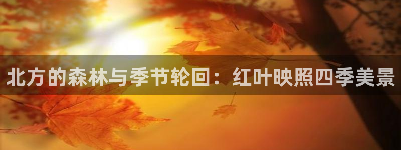 SKY娱乐 卧龙主管60447