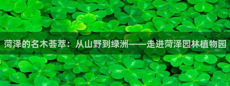 卧龙休闲娱乐优惠活动