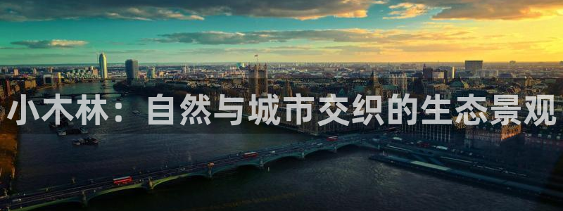 厦门卧龙台球娱乐会所